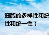细胞的多样性和统一性听课记录（细胞的多样性和统一性）