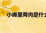 小摊里脊肉是什么肉（里脊肉是什么肉）