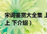 宋词鉴赏大全集 上 下（关于宋词鉴赏大全集 上 下介绍）