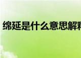 绵延是什么意思解释一下（绵延是什么意思）