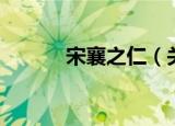 宋襄之仁（关于宋襄之仁介绍）