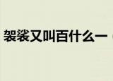 袈裟又叫百什么一（袈裟为什么也叫百纳衣）