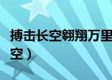 搏击长空翱翔万里追求梦想永不放弃（搏击长空）