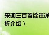 宋词三百首诠注详析（关于宋词三百首诠注详析介绍）