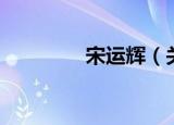 宋运辉（关于宋运辉介绍）