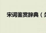 宋词鉴赏辞典（关于宋词鉴赏辞典介绍）