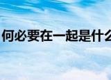 何必要在一起是什么歌（何必要在一起 歌词）