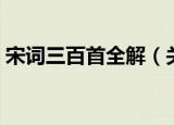 宋词三百首全解（关于宋词三百首全解介绍）