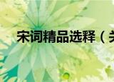 宋词精品选释（关于宋词精品选释介绍）