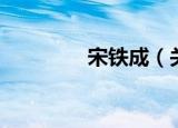 宋铁成（关于宋铁成介绍）