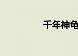 千年神龟石（千年神龟）