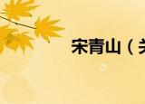 宋青山（关于宋青山介绍）