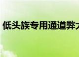 低头族专用通道弊大于利（低头族专用通道）