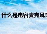 什么是电容麦克风音质最好（什么是电容麦）