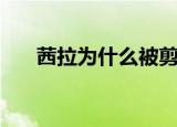 茜拉为什么被剪（茜拉为什么戴头巾）
