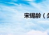 宋锡龄（关于宋锡龄介绍）