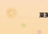 莱芜网络公司