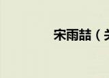 宋雨喆（关于宋雨喆介绍）