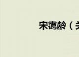 宋霭龄（关于宋霭龄介绍）