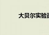 大贝尔实验百科（大贝尔实验）
