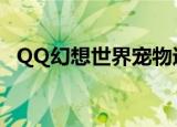 QQ幻想世界宠物进化（qq幻想世界宠物）