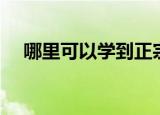 哪里可以学到正宗螺蛳粉（螺蛳粉学习）