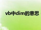vb中dim的意思（vb中dim是什么意思）