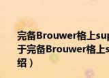 完备Brouwer格上sup-inf合成模糊关系方程的解空间（关于完备Brouwer格上sup-inf合成模糊关系方程的解空间介绍）