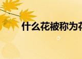 什么花被称为花中皇后（花中皇后）