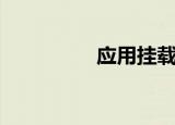 应用挂载器（超级挂载）