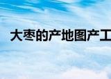 大枣的产地图产工人产地装（大枣的产地）
