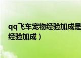 qq飞车宠物经验加成是百分比高还是补偿高（qq飞车宠物经验加成）