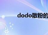 dodo散粉的用法（dodo散粉）