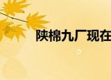 陕棉九厂现在叫什么（陕棉九厂）