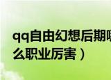 qq自由幻想后期哪个职业好（qq自由幻想什么职业厉害）