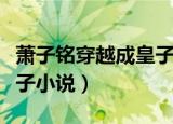 萧子铭穿越成皇子免费阅读（萧子铭穿越成皇子小说）