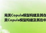 完美Copula模型构建及其在中国式信用衍生品创新中的应用（关于完美Copula模型构建及其在中国式信用衍生品创新中的应用介绍）