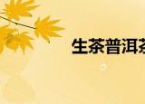 生茶普洱茶怎么泡（生茶）