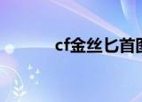 cf金丝匕首图片（cf金丝匕首）