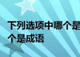 下列选项中哪个是成语谈何容易和细思恐极哪个是成语