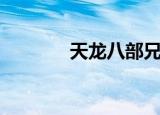 天龙八部兄弟情（情义天龙）