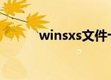 winsxs文件十几个G（winsxs）
