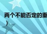 两个不能否定的重大政治意义（两个不能否定）