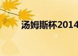 汤姆斯杯2014年（汤姆斯杯2014）