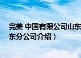 完美 中国有限公司山东分公司（关于完美 中国有限公司山东分公司介绍）