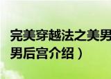 完美穿越法之美男后宫（关于完美穿越法之美男后宫介绍）