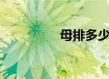 母排多少钱一米（母排）