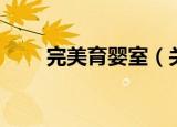完美育婴室（关于完美育婴室介绍）