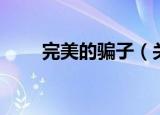 完美的骗子（关于完美的骗子介绍）