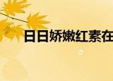 日日娇嫩红素在哪买（日日娇嫩红素）